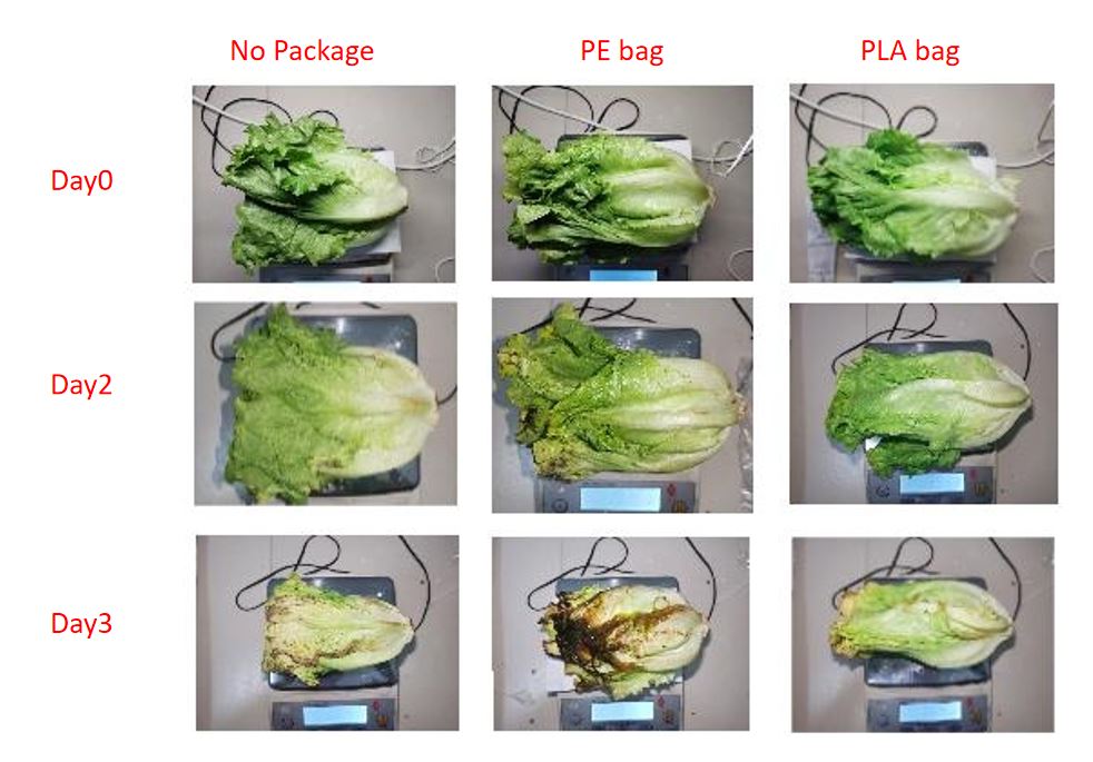 fresh keep-PLA bag.JPG